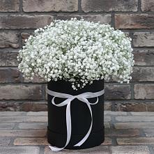 Цветочная композиция из Гипсофила в шляпной коробке в Авдотьино