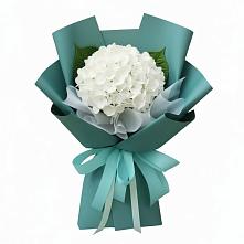 Букет цветов из:  Гортензия #REPLACE_PRED# Авдотьино